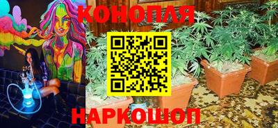 тгк Малгобек